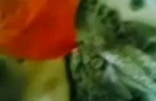 बड़े स्तन सुनहरे बालों वाली वसा मुर्गा लेता सेक्सी सेक्सी सेक्सी मूवी है