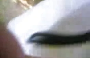 Dylan मुश्किल हो सेक्सी ब्लू सेक्सी मूवी जाता है