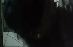 सौदों के मॉम एंड सन सेक्सी मूवी साथ राक्षस मुर्गा