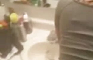 चोदना इकबालिया Bobbi Fucks ट्रेनर के लिए नि: शुल्क सदस्यता जानवरों की सेक्सी मूवी दिखाएं