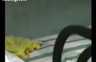 उसे गधे में गहरी बेसबॉल के बल्ले अरबी सेक्सी मूवी