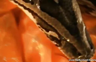 StraightBoyz क्सक्सक्स ब्लू मूवी कमबख्त श्रृंखला