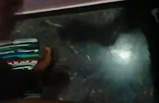 पीछे से प्रेमिका कमबख्त सेक्सी मूवी हद चेहरे के साथ समाप्त होता है!!!