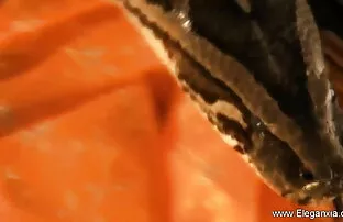 गोल-मटोल एफी हो जाता है एक गर्मजोशी सेक्सी फुल मूवी से स्वागत करने के लिए अश्लील